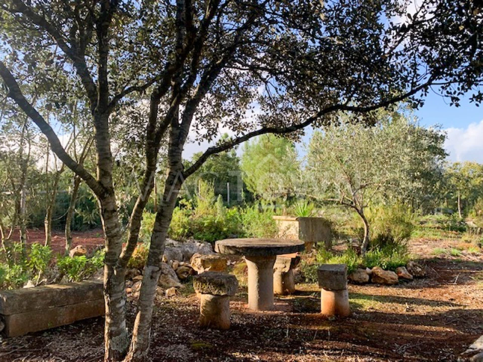 Terreno para Venda em Brogueira, Parceiros de Igreja e Alcorochel Foto 1