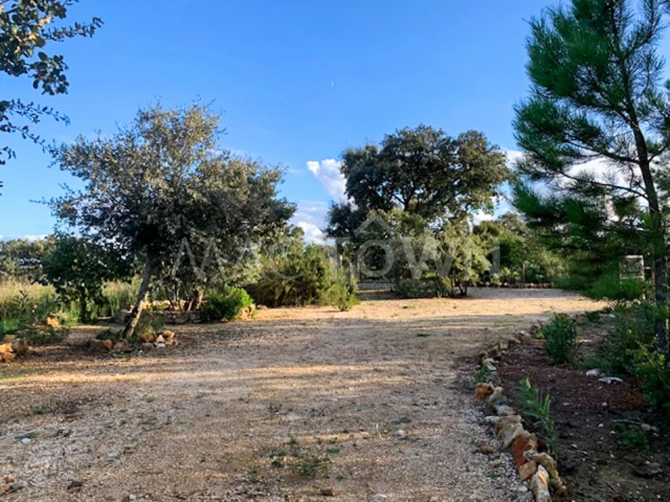 Terreno para Venda em Brogueira, Parceiros de Igreja e Alcorochel Foto 2