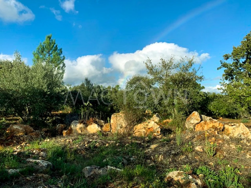 Terreno para Venda em Brogueira, Parceiros de Igreja e Alcorochel Foto 3