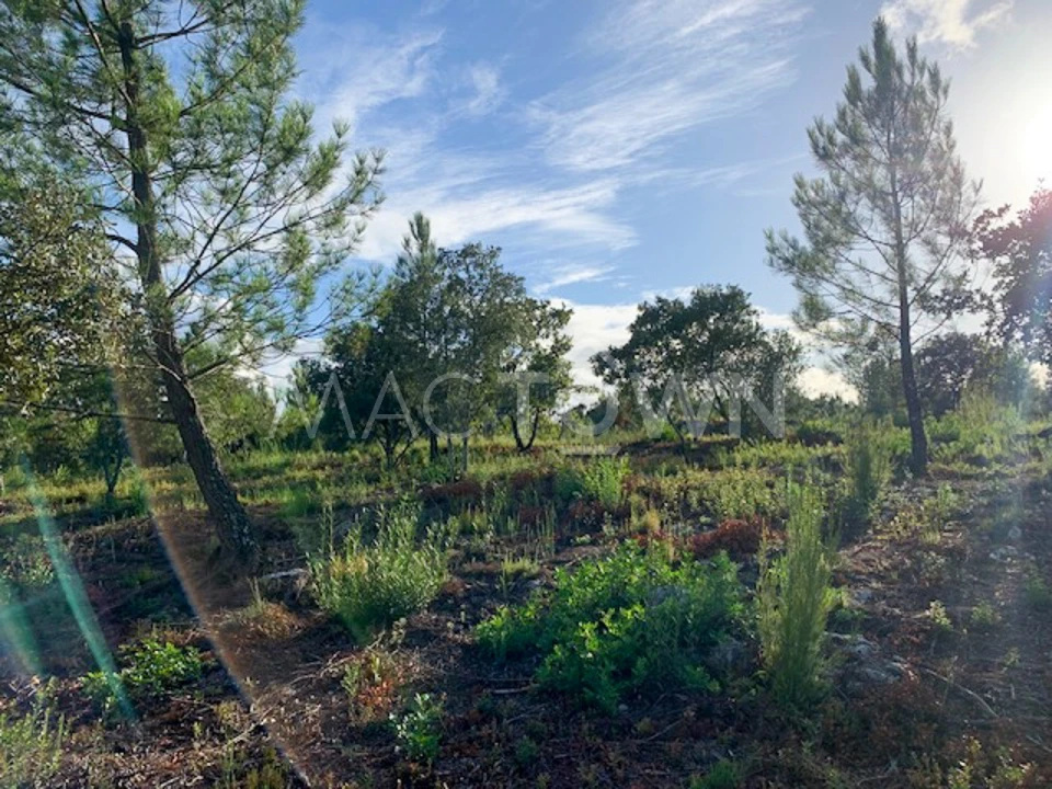 Terreno para Venda em Brogueira, Parceiros de Igreja e Alcorochel Foto 19