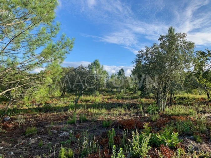 Terreno para Venda em Brogueira, Parceiros de Igreja e Alcorochel Foto 17