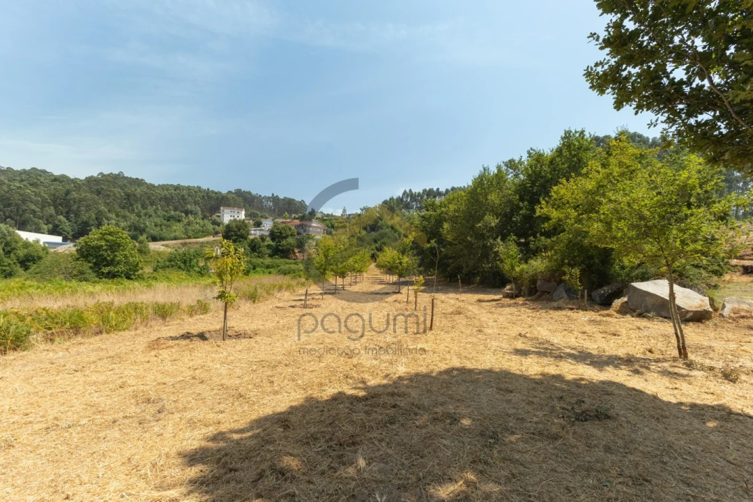 Terreno para Venda em Fonte Arcada Foto 3