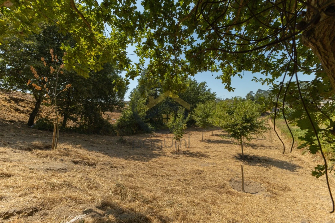 Terreno para Venda em Fonte Arcada Foto 4