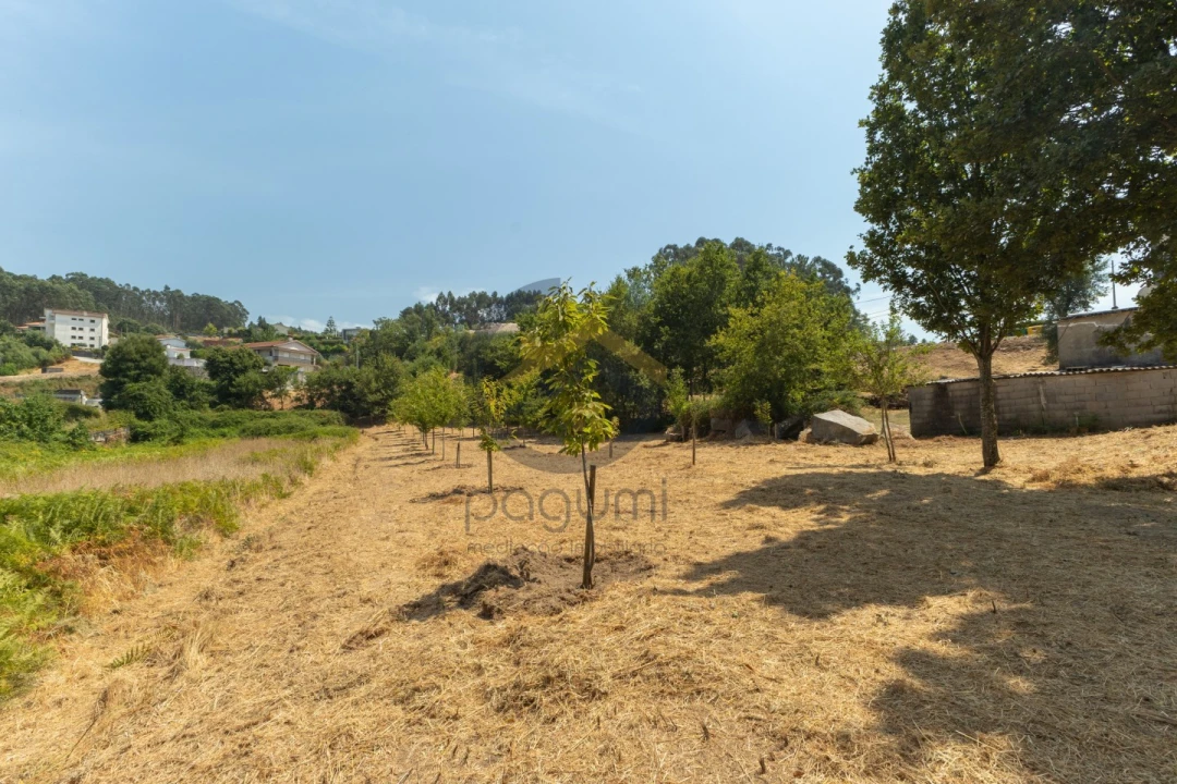 Terreno para Venda em Fonte Arcada Foto 8
