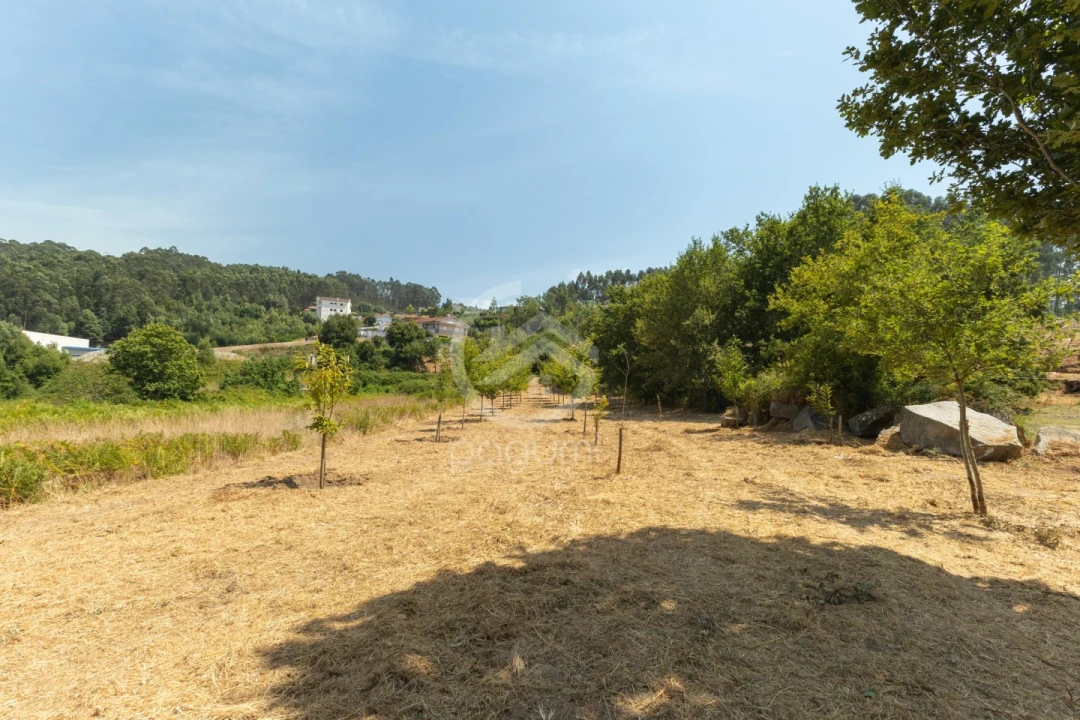 Terreno para Venda em Fonte Arcada Foto 1
