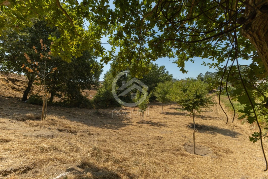Terreno para Venda em Fonte Arcada Foto 3