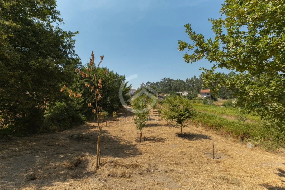Terreno para Venda em Fonte Arcada Foto 8