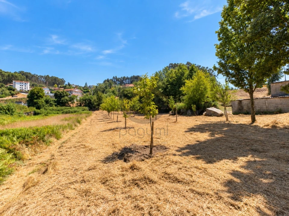 Terreno para Venda em Fonte Arcada Foto 3