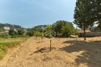 Terreno para Venda em Fonte Arcada
