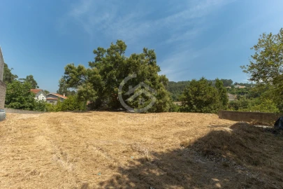 Terreno para Venda em Fonte Arcada