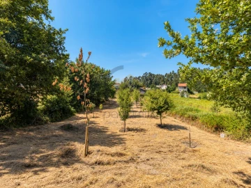 Terreno para Venda em Fonte Arcada