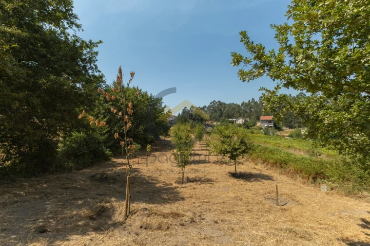Terreno para Venda em Fonte Arcada Foto 9