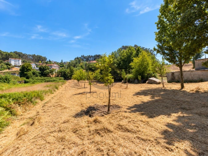 Terreno para Venda em Fonte Arcada Foto 3