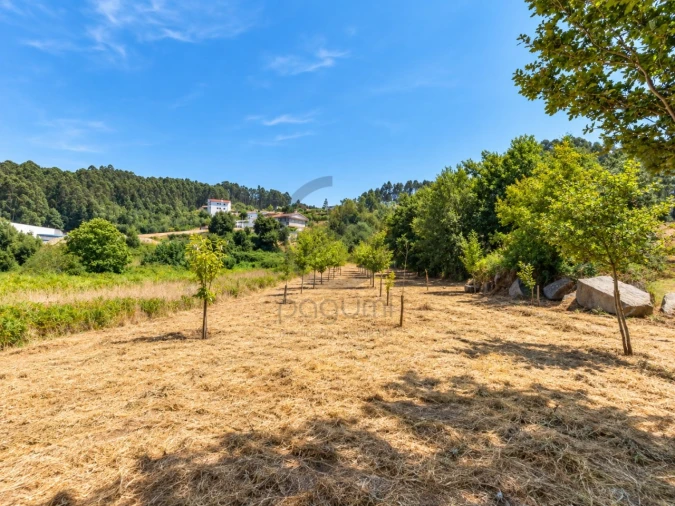 Terreno para Venda em Fonte Arcada Foto 6