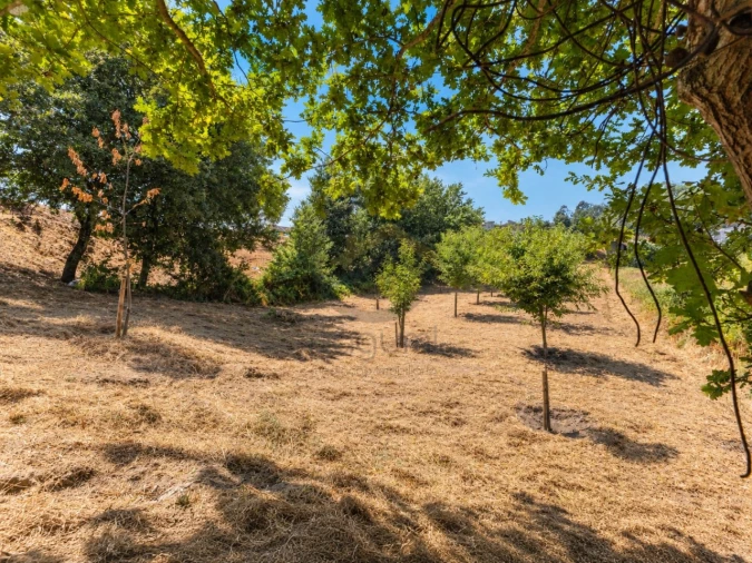 Terreno para Venda em Fonte Arcada Foto 7