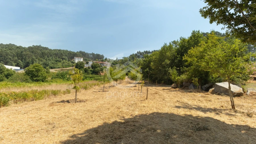 Terreno para Venda em Fonte Arcada