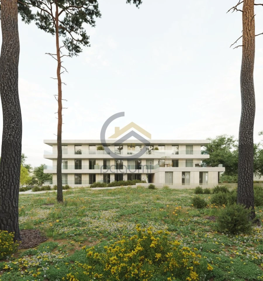 Terreno para Venda em Real, Ataíde e Oliveira Foto 2