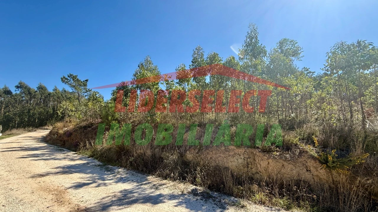 Terreno para Venda em Santa Maria, São Pedro e Matacães Foto 2