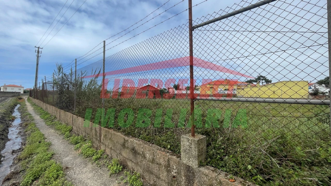 Terreno para Arrendamento em Silveira Foto 3