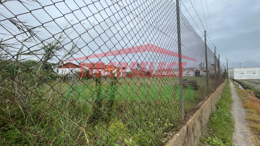 Terreno para Arrendamento em Silveira Foto 1