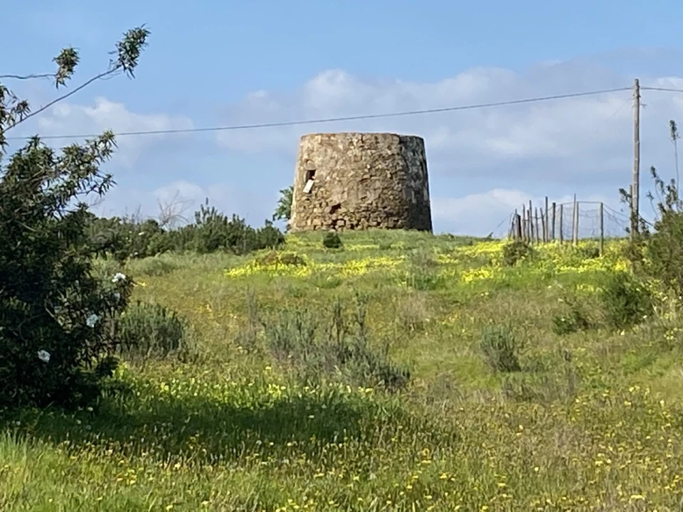 Terreno para Venda em Azinhal Foto 5