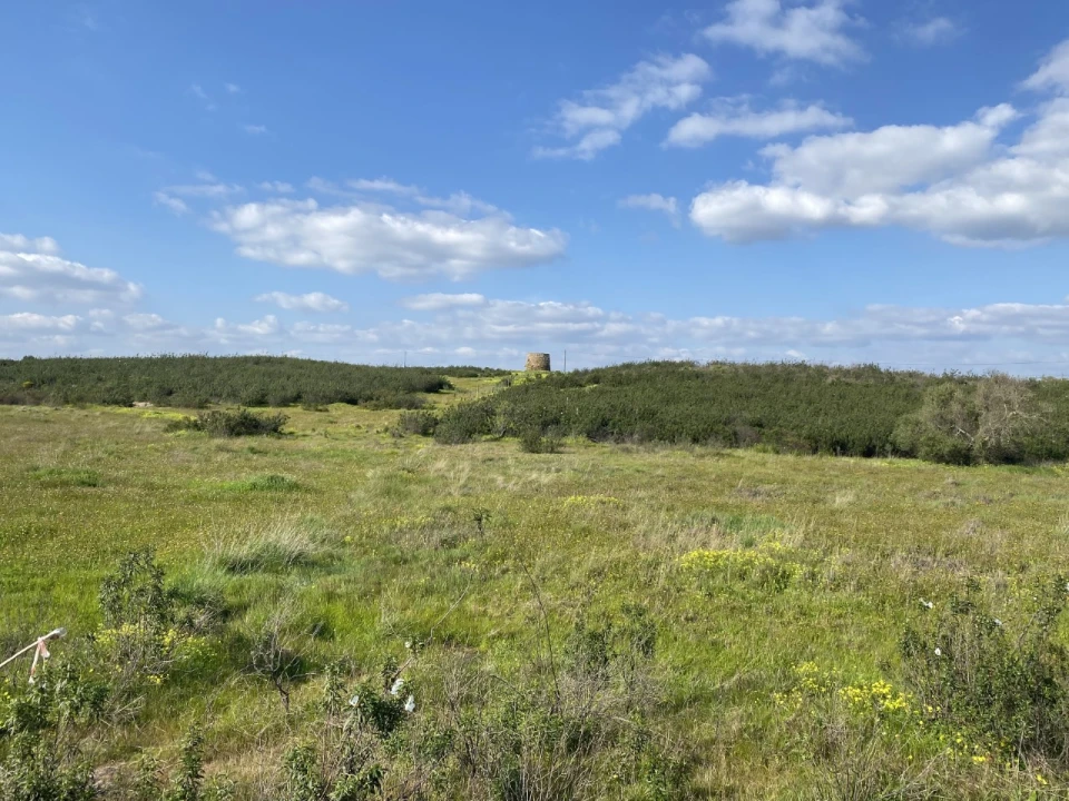 Terreno para Venda em Azinhal Foto 21