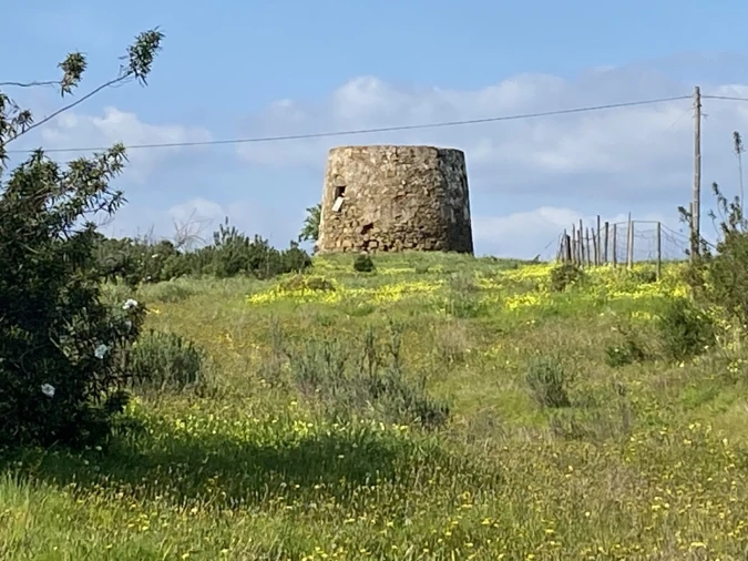 Terreno para Venda em Azinhal Foto 5