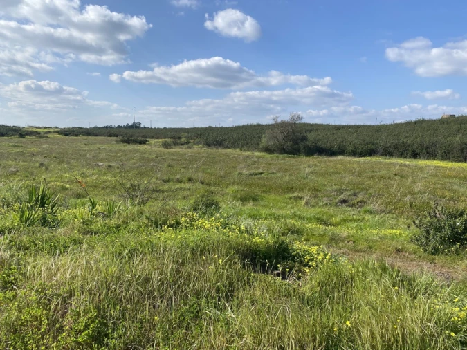 Terreno para Venda em Azinhal Foto 23