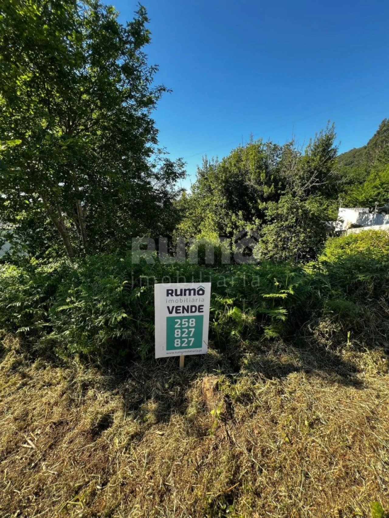 Terreno para Venda em Areosa Foto 5