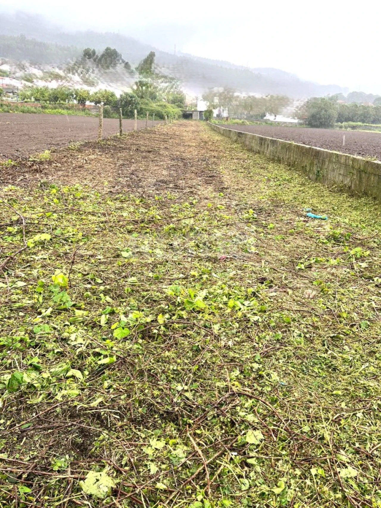 Terreno para Venda em Barroselas e Carvoeiro Foto 4