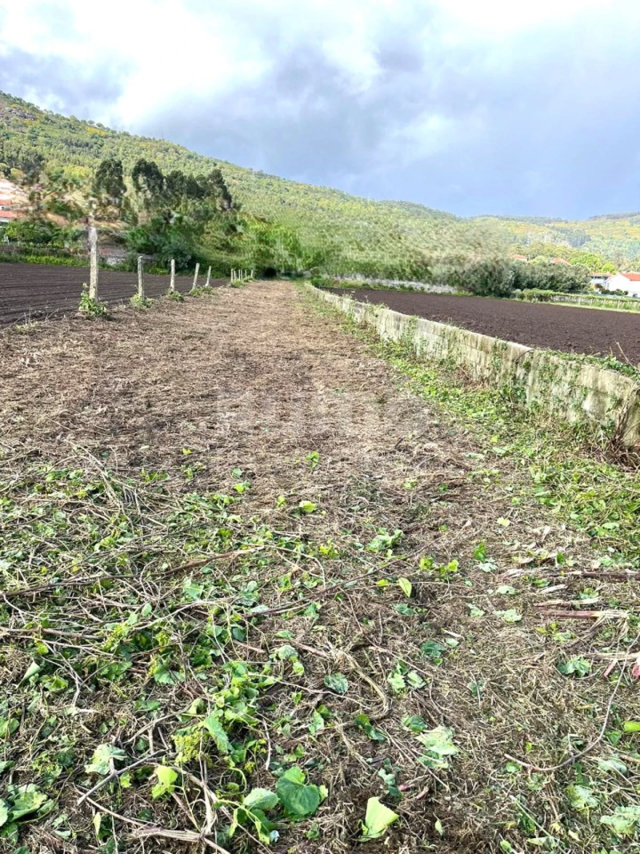 Terreno para Venda em Barroselas e Carvoeiro Foto 1