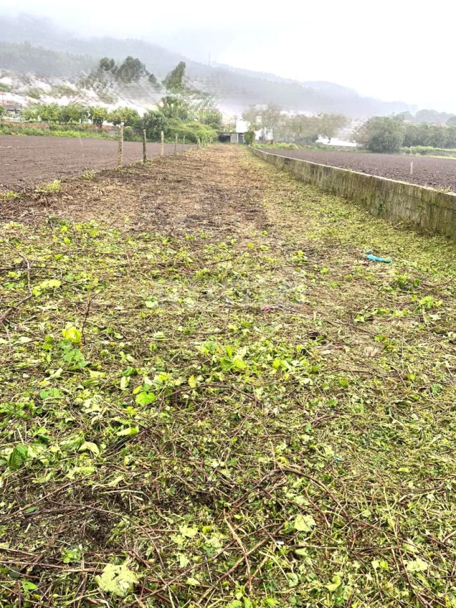 Terreno para Venda em Barroselas e Carvoeiro Foto 4