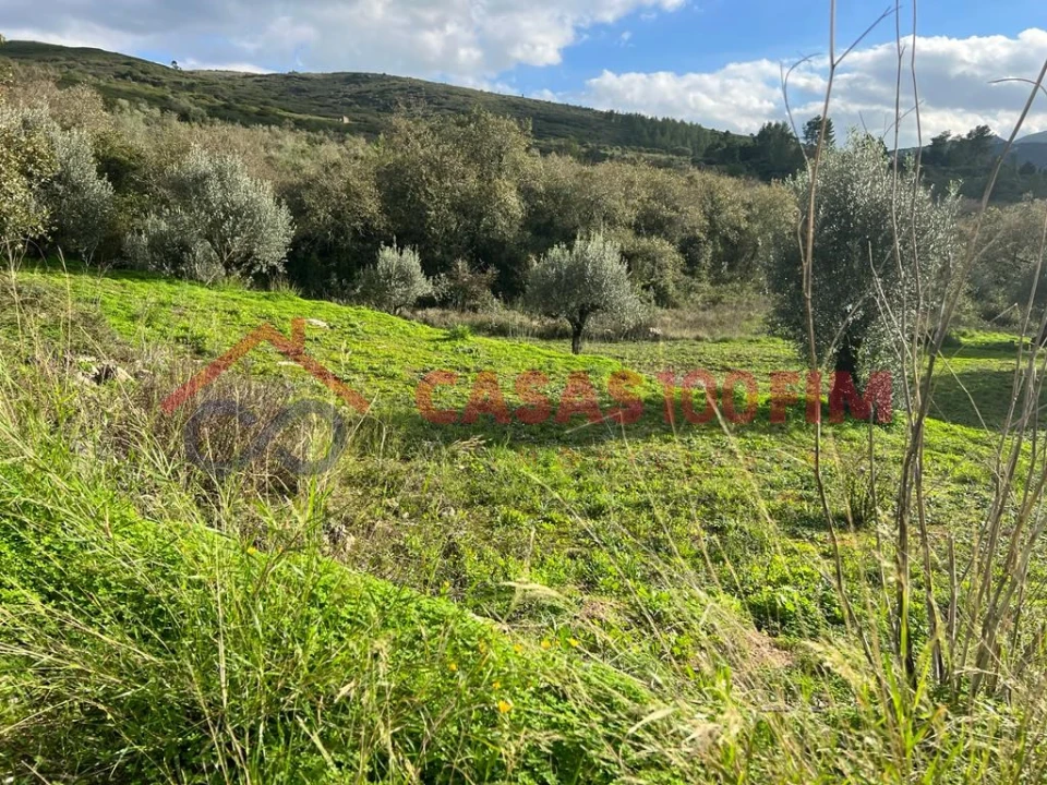 Terreno para Venda em Porto de Mós - São João Baptista e São Pedro Foto 1