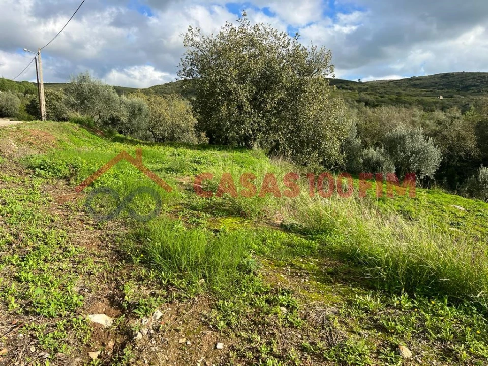 Terreno para Venda em Porto de Mós - São João Baptista e São Pedro Foto 2