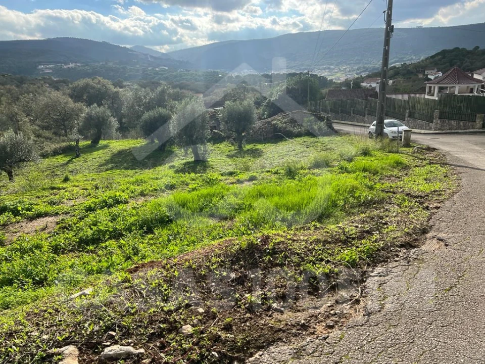 Terreno para Venda em Porto de Mós - São João Baptista e São Pedro Foto 7