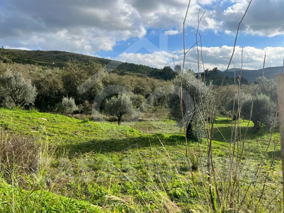 Terreno para Venda em Porto de Mós - São João Baptista e São Pedro Foto 10