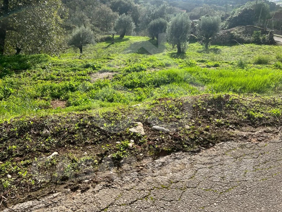 Terreno para Venda em Porto de Mós - São João Baptista e São Pedro Foto 11