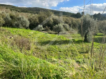 Terreno para Venda em Porto de Mós - São João Baptista e São Pedro