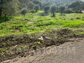 Terreno para Venda em Porto de Mós - São João Baptista e São Pedro