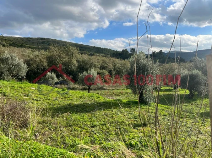 Terreno para Venda em Porto de Mós - São João Baptista e São Pedro Foto 3
