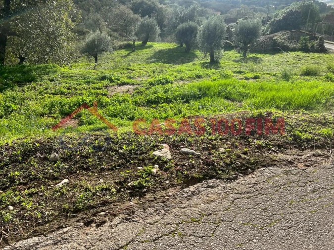 Terreno para Venda em Porto de Mós - São João Baptista e São Pedro Foto 5