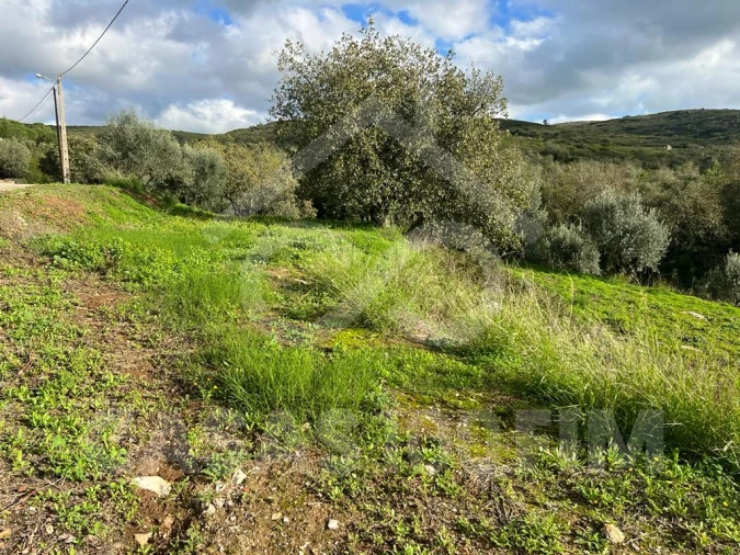 Terreno para Venda em Porto de Mós - São João Baptista e São Pedro Foto 9