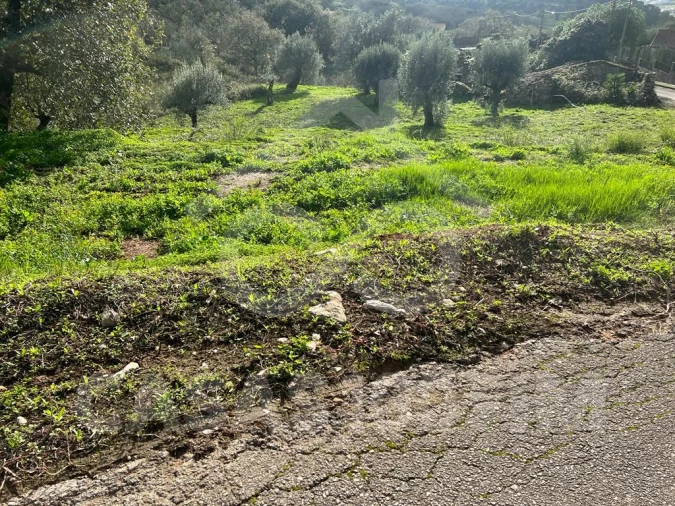 Terreno para Venda em Porto de Mós - São João Baptista e São Pedro Foto 11