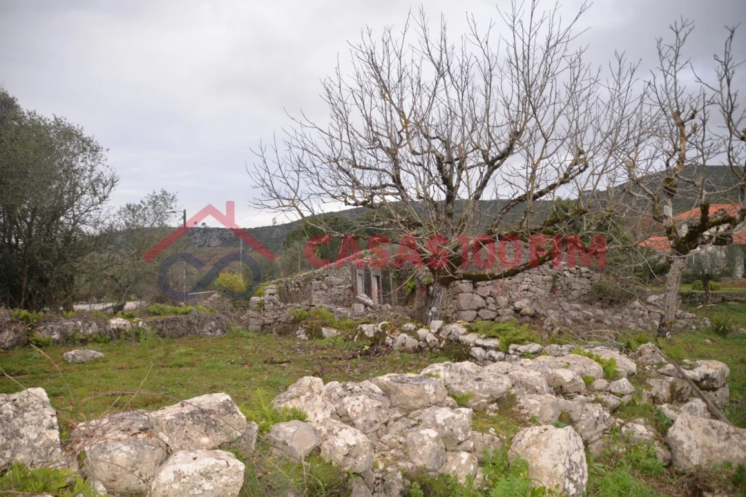 Terreno para Venda em Alvados e Alcaria Foto 2