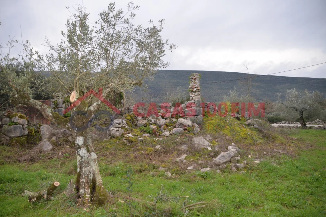 Terreno para Venda em Alvados e Alcaria Foto 8