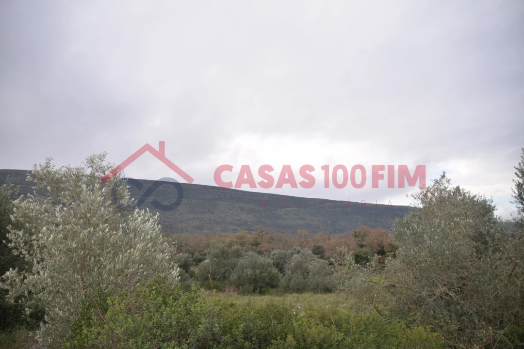Terreno para Venda em Alvados e Alcaria Foto 9