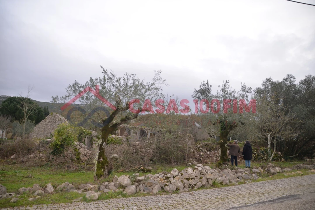 Terreno para Venda em Alvados e Alcaria Foto 10