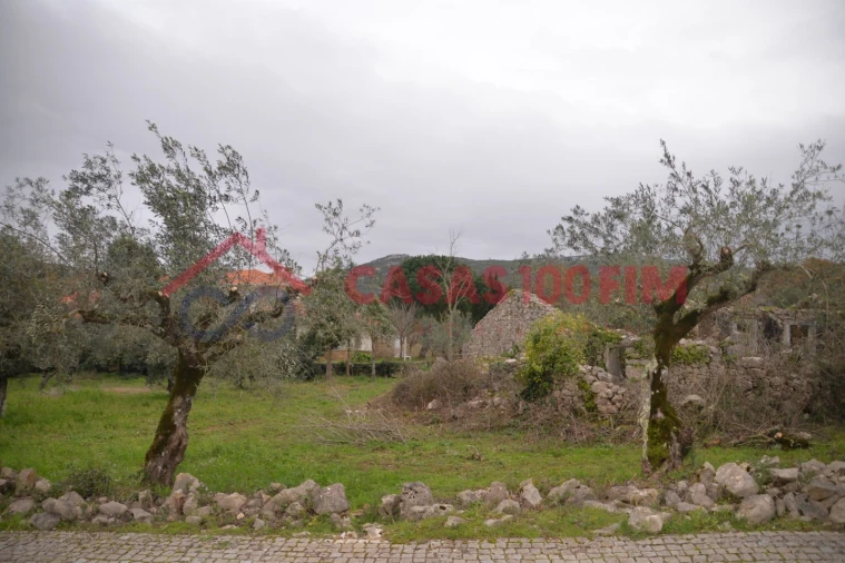 Terreno para Venda em Alvados e Alcaria