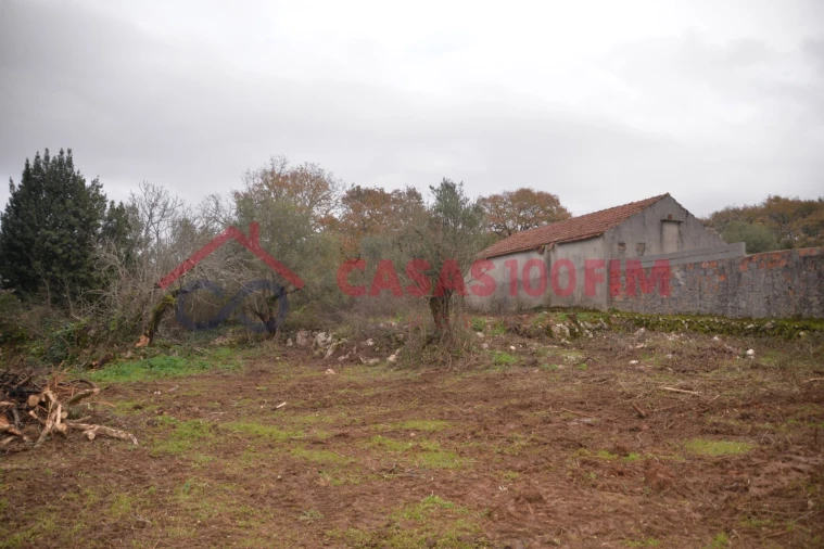 Terreno para Venda em Alvados e Alcaria Foto 5
