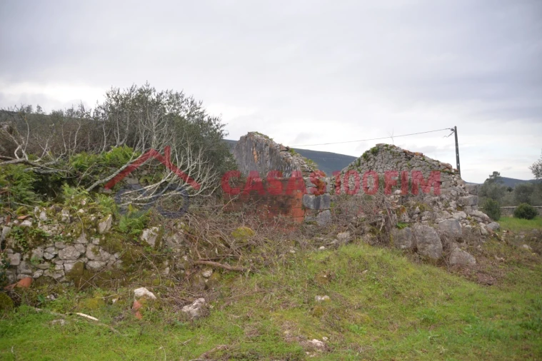 Terreno para Venda em Alvados e Alcaria Foto 6